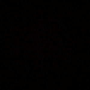 Meet your Posher, Junior